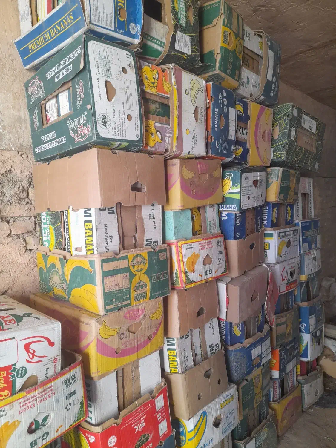 کارتون موزی|حراج|اسفراین, |دیوار