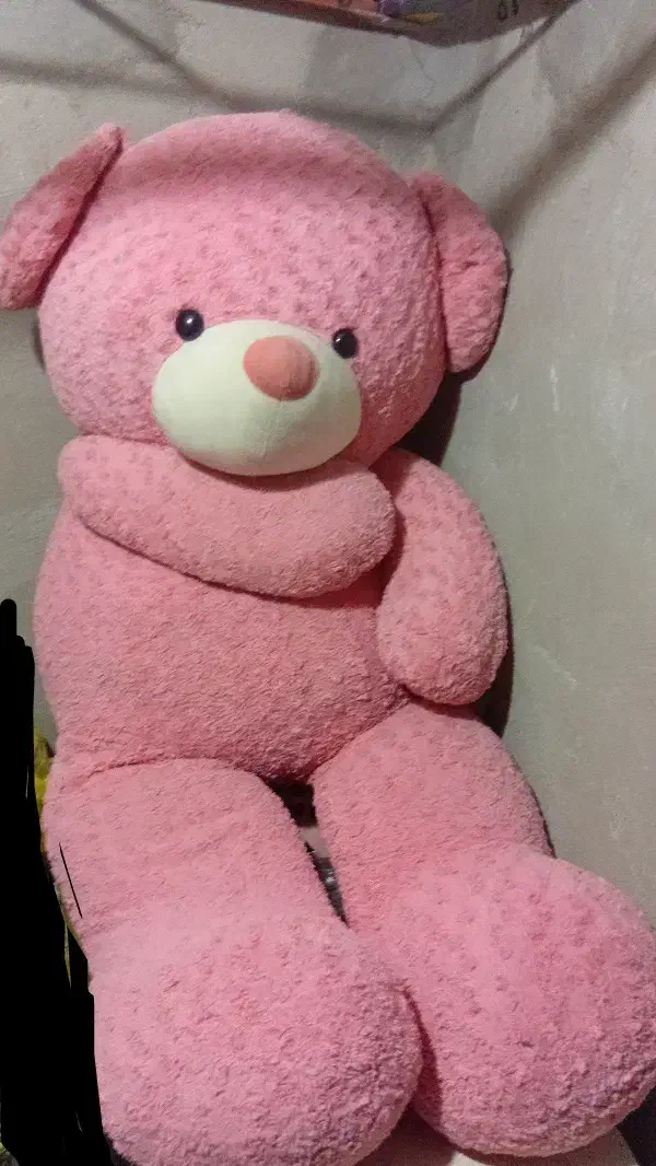 خرس بزرگ|اسباببازی بچه|ملایر, |دیوار