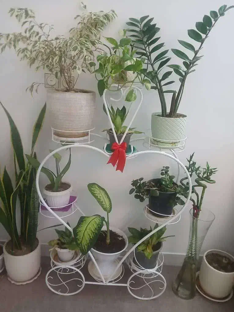 استند گل|صنایع دستی و سایر لوازم تزئینی|قم, زنبیل آباد|دیوار