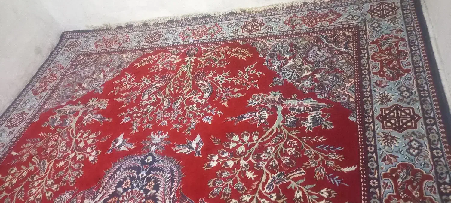 فرش ۱۲ متری|فرش|کرمانشاه, |دیوار