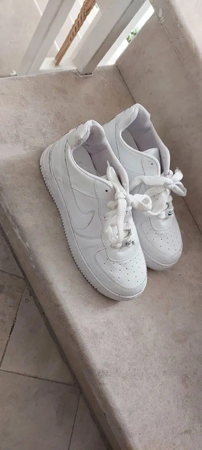 کفش|کیف، کفش، کمربند|بروجرد, |دیوار