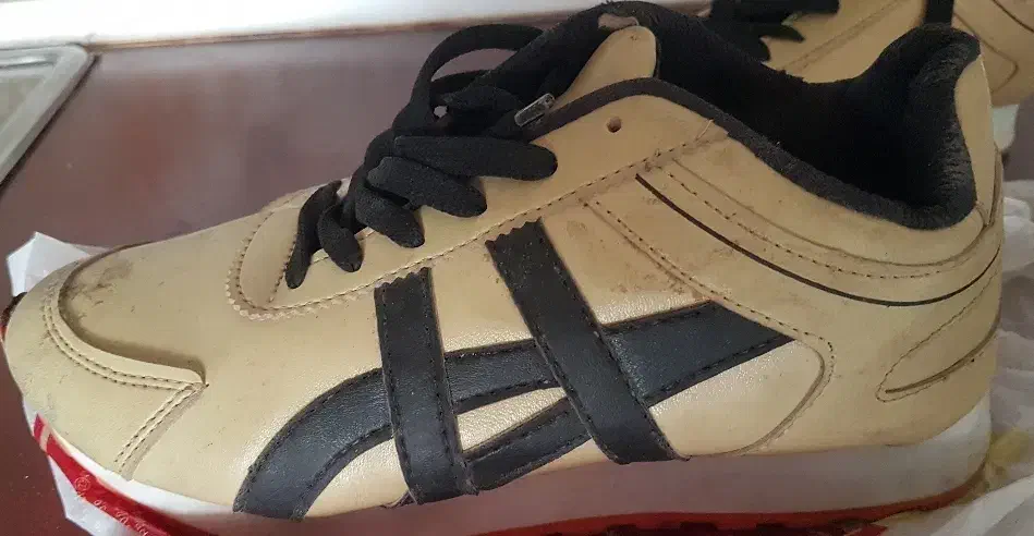 کفش اسپرت|کیف، کفش، کمربند|گلبهار, شهر جدید گلبهار|دیوار