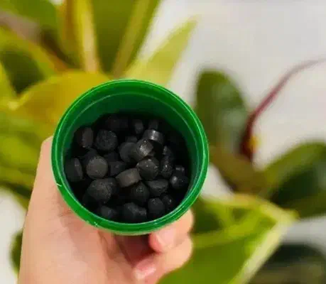 تحویل فوری قرص کود ارگانیک|گل و گیاه طبیعی|رشت, گلباغ نماز|دیوار