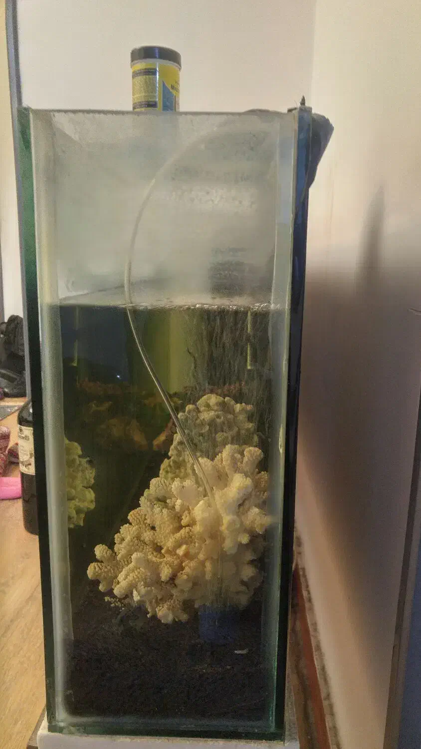 اکواریوم.|ماهی|محمدشهر, شهرک پیام (مهرالبرز)|دیوار