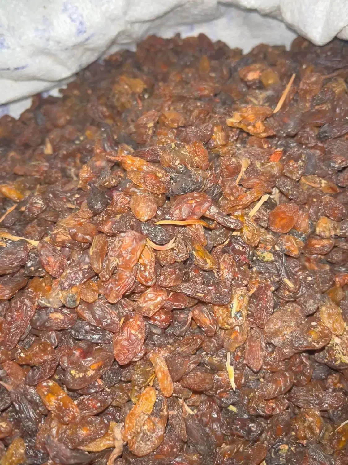 کشمش درجه یک|خوردنی و آشامیدنی|نیشابور, ابراهیمی|دیوار