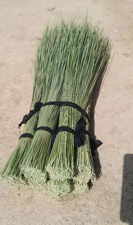جارو|فعالیت داوطلبانه|شوشتر, |دیوار