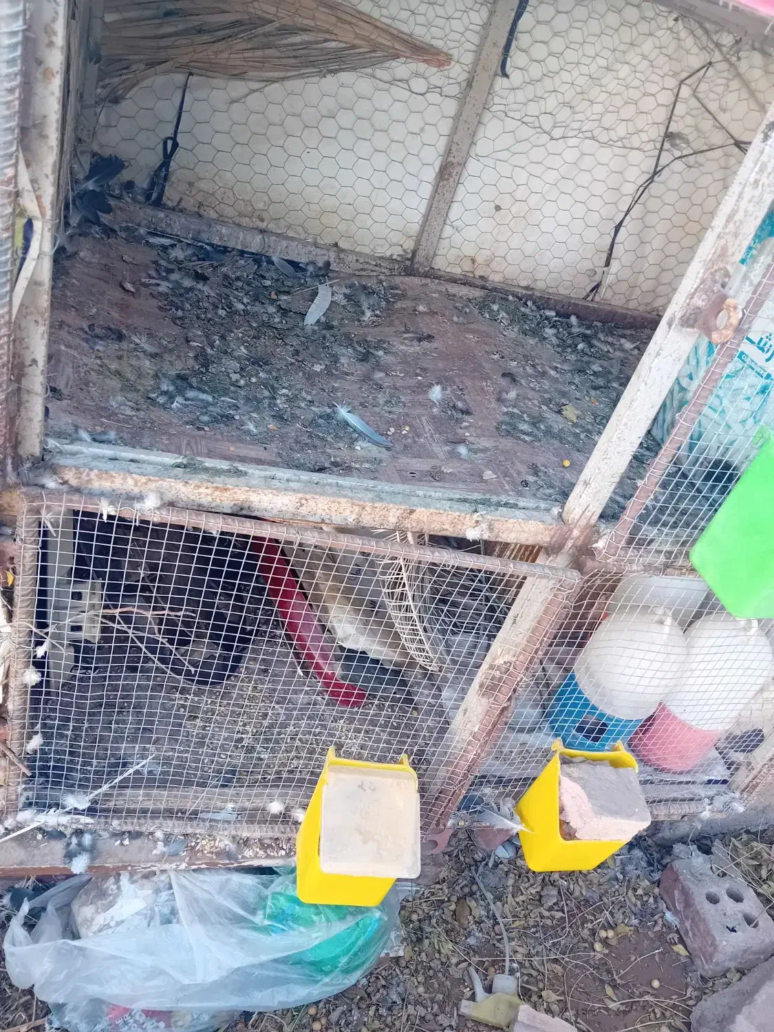 چفت توری جفتگاه|لوازم جانبی حیوانات|زرند, |دیوار