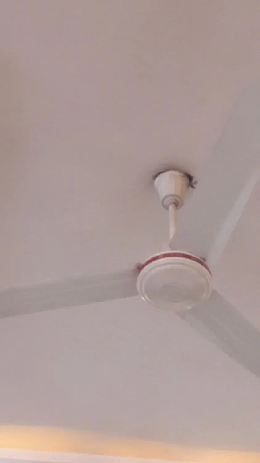 دوعدد  پنکه سقفی|پنکه و تصفیه‌کنندهٔ هوا|سبزوار, شهرک اندیشه|دیوار