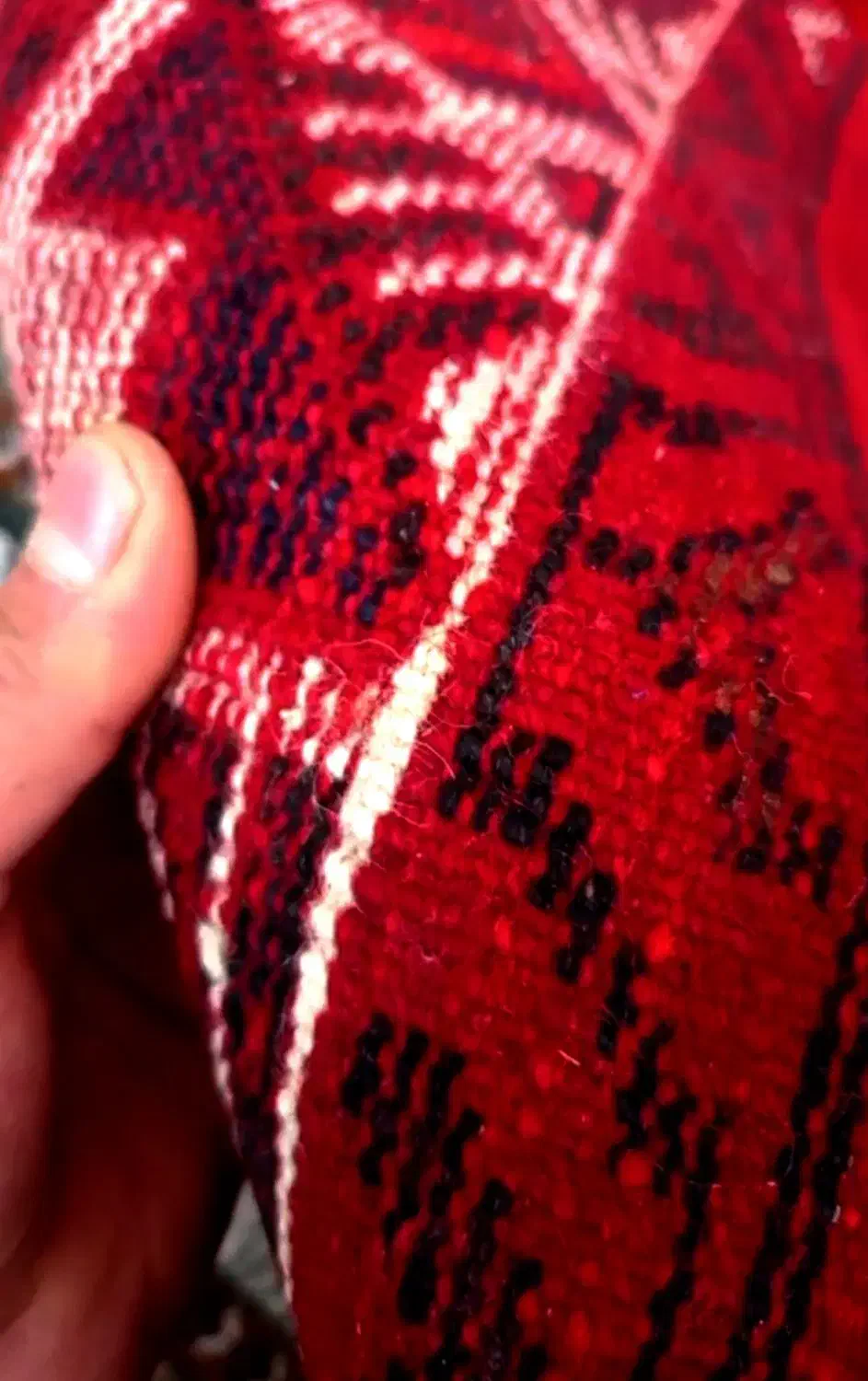 قالی دست بافت قدیمی|فرش|اصفهان, بهارستان|دیوار