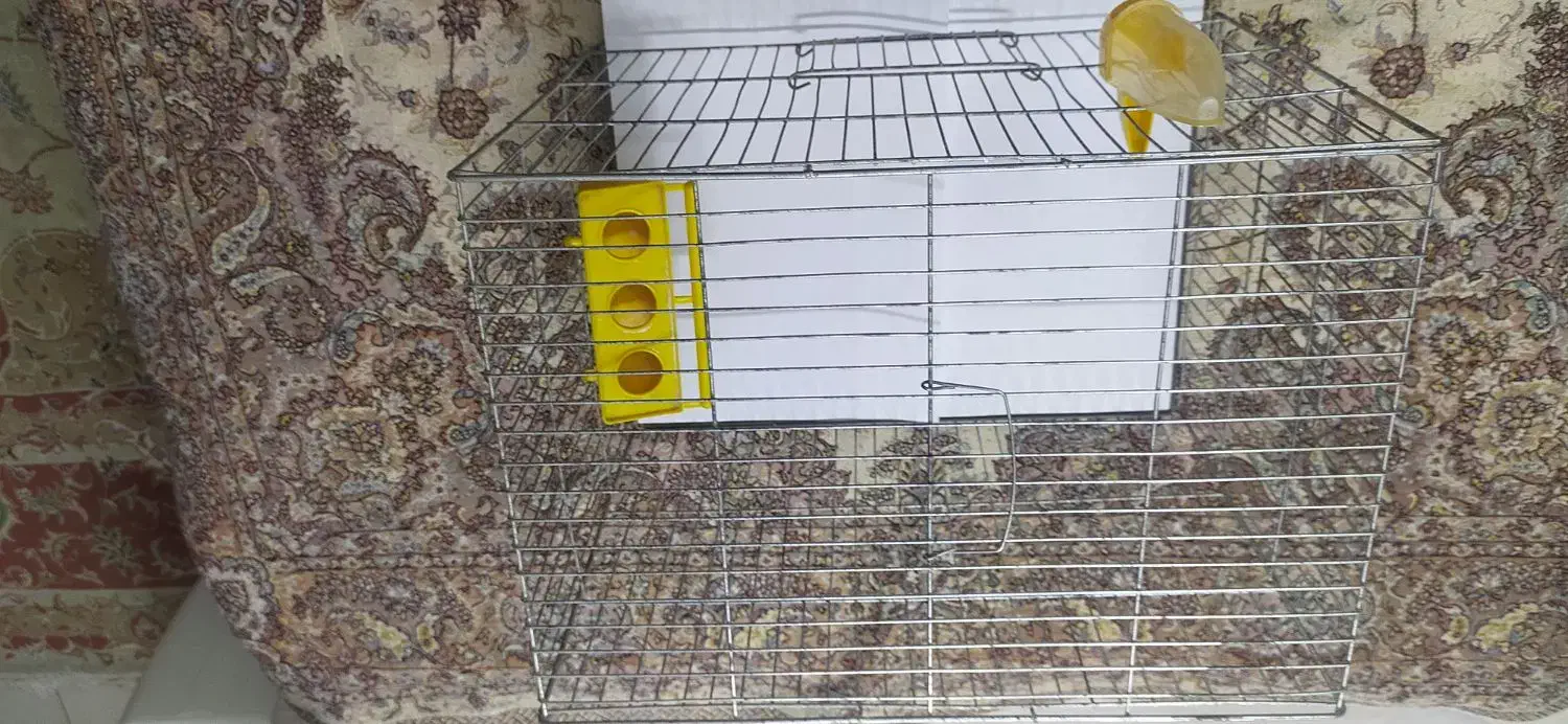 قفس کوچک وبزرگ پرنده جوجه پران|لوازم جانبی حیوانات|تهران, دهقان|دیوار