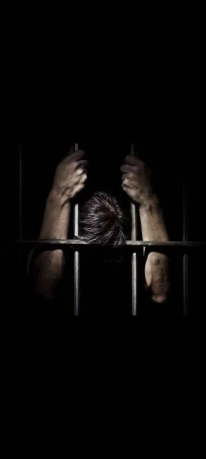 اجاره فیش حقوقی|خدمات مالی، حقوقی و اداری|تهران, یوسفآباد|دیوار