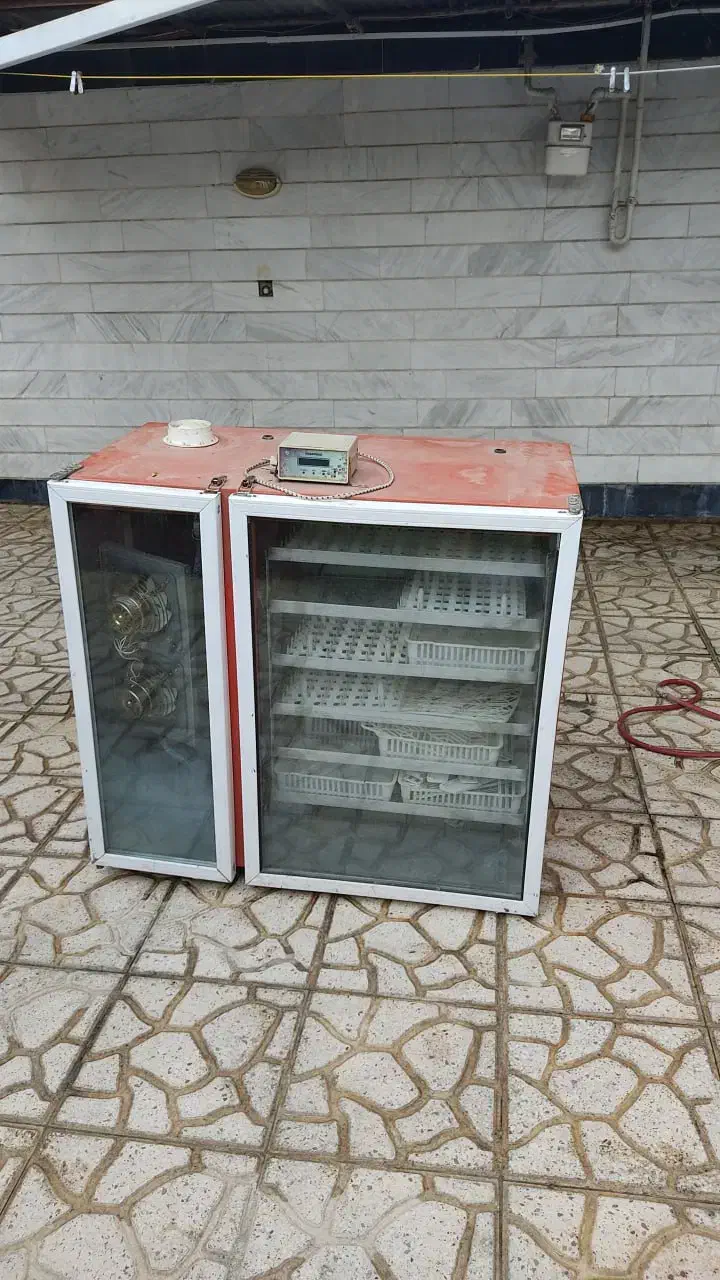 دستگاه جوجه کشی|لوازم جانبی حیوانات|ملایر, |دیوار