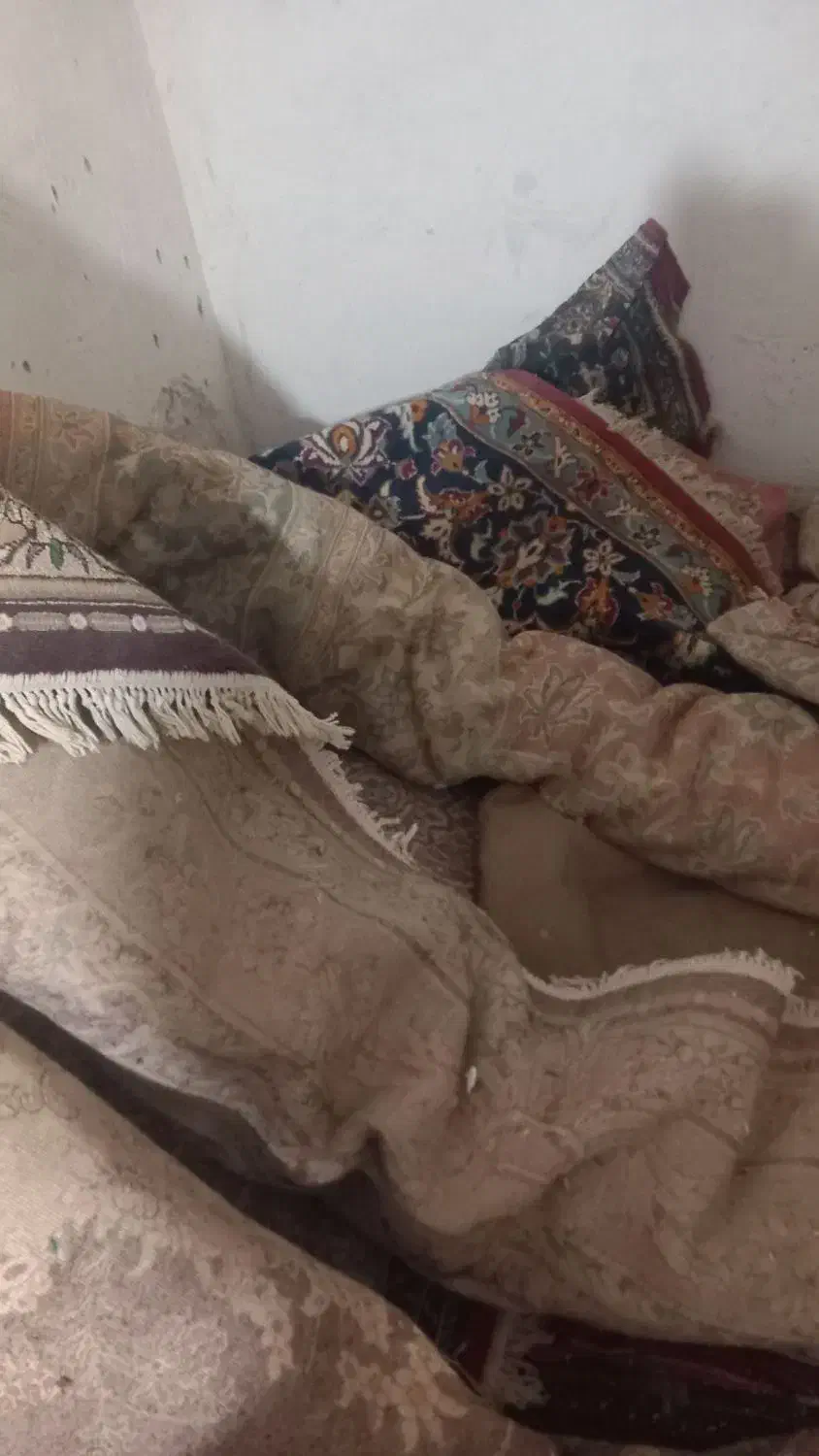 فروش فرش دست دوم|فرش|تربت جام, میان جام|دیوار