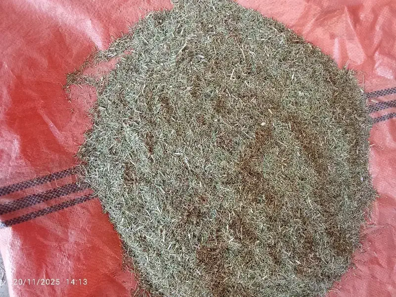 کاه خارشتر|لوازم جانبی حیوانات|گنبد کاووس, |دیوار