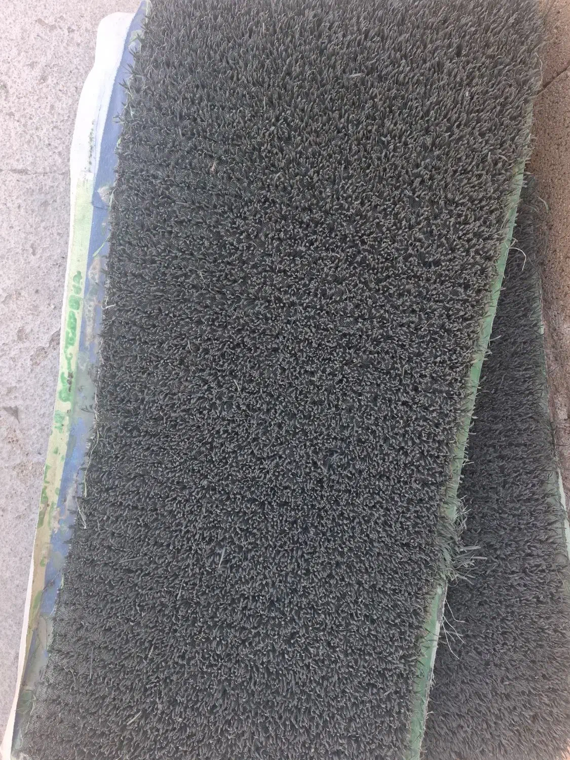 چمن مصنوعی|مصالح و تجهیزات ساختمان|فیروزآباد (فارس), |دیوار