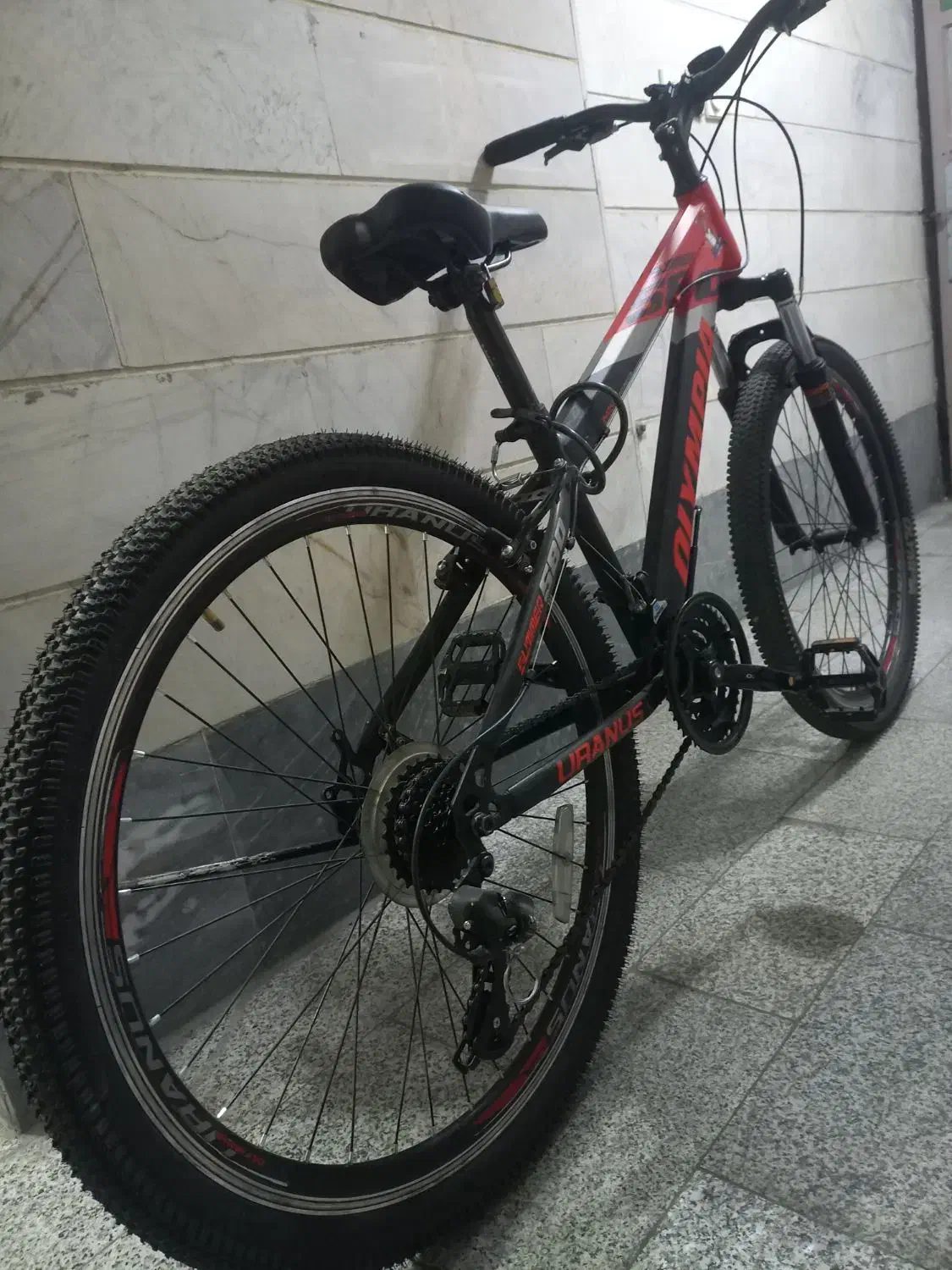 دوچرخه سالم ۲۶|دوچرخه، اسکیت، اسکوتر|ری, جوانمرد قصاب|دیوار