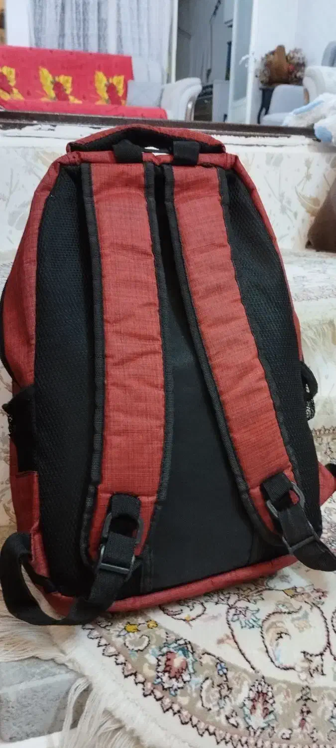 کیف مدرسه سالم|کیف، کفش، کمربند|خورش رستم, |دیوار