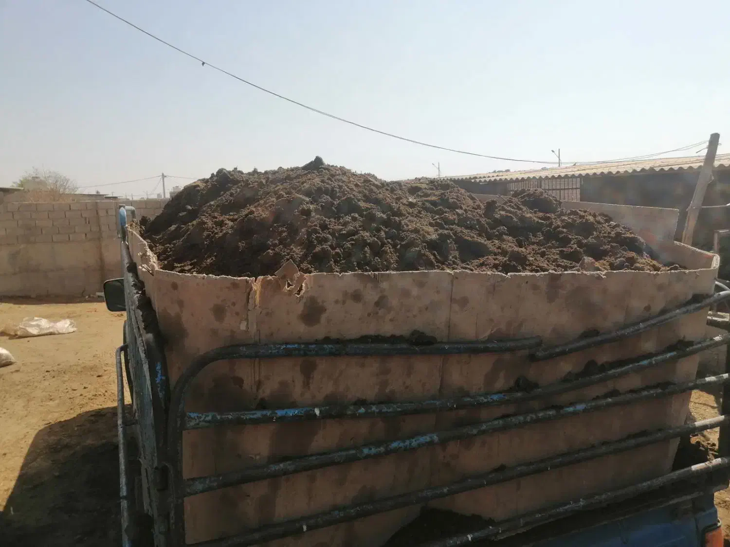 کودحیوانی|خدمات باغبانی و درختکاری|اهواز, پردیس|دیوار