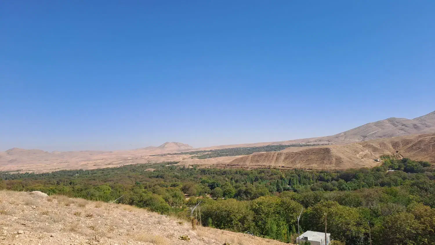 چند قطعه زمین در شهرک زوارم|فروش زمین و ملک کلنگی|شیروان (خراسان), |دیوار