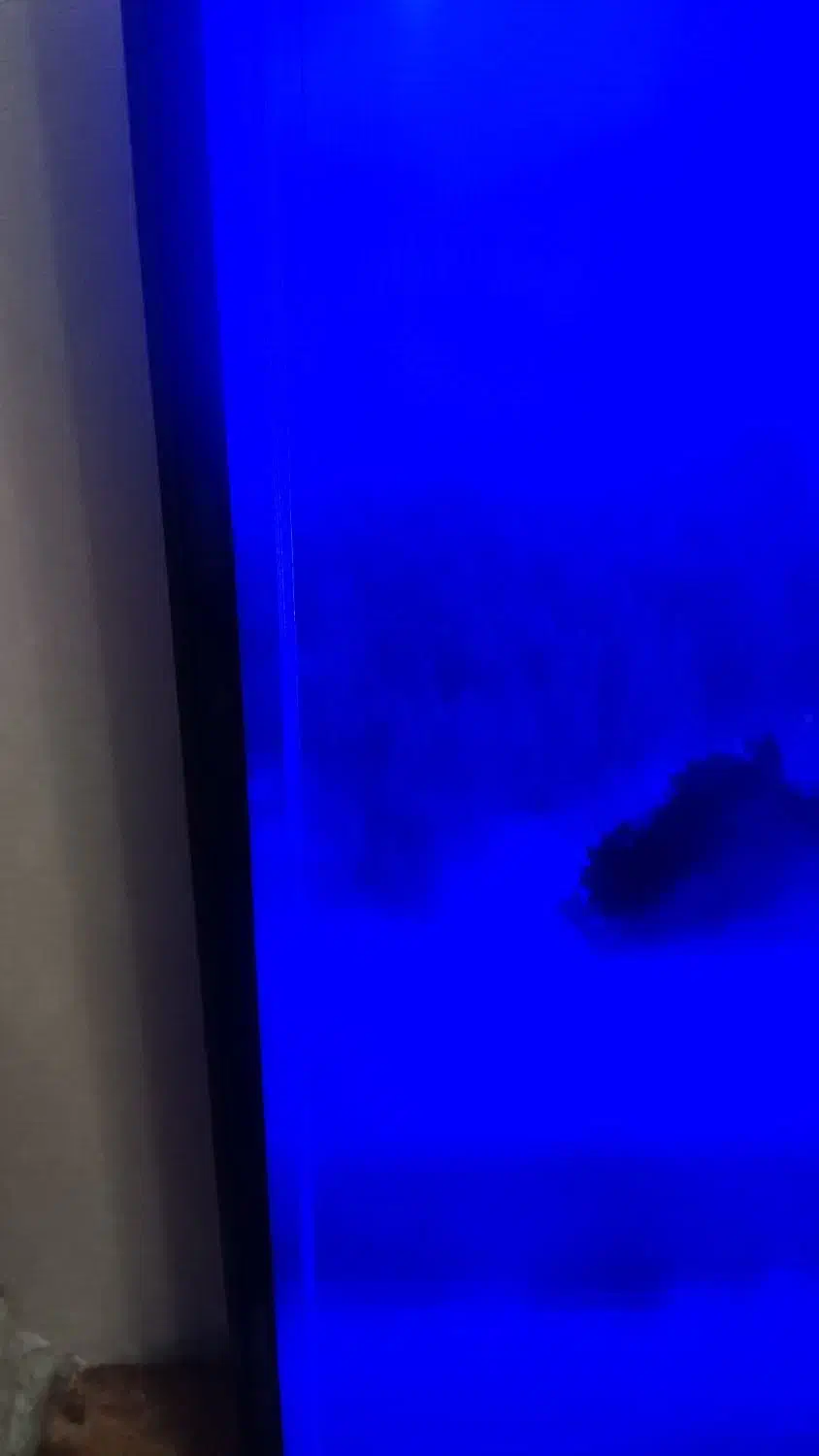 تلویزیون هوشمند LG|تلویزیون و پروژکتور|ورامین, ورامین|دیوار