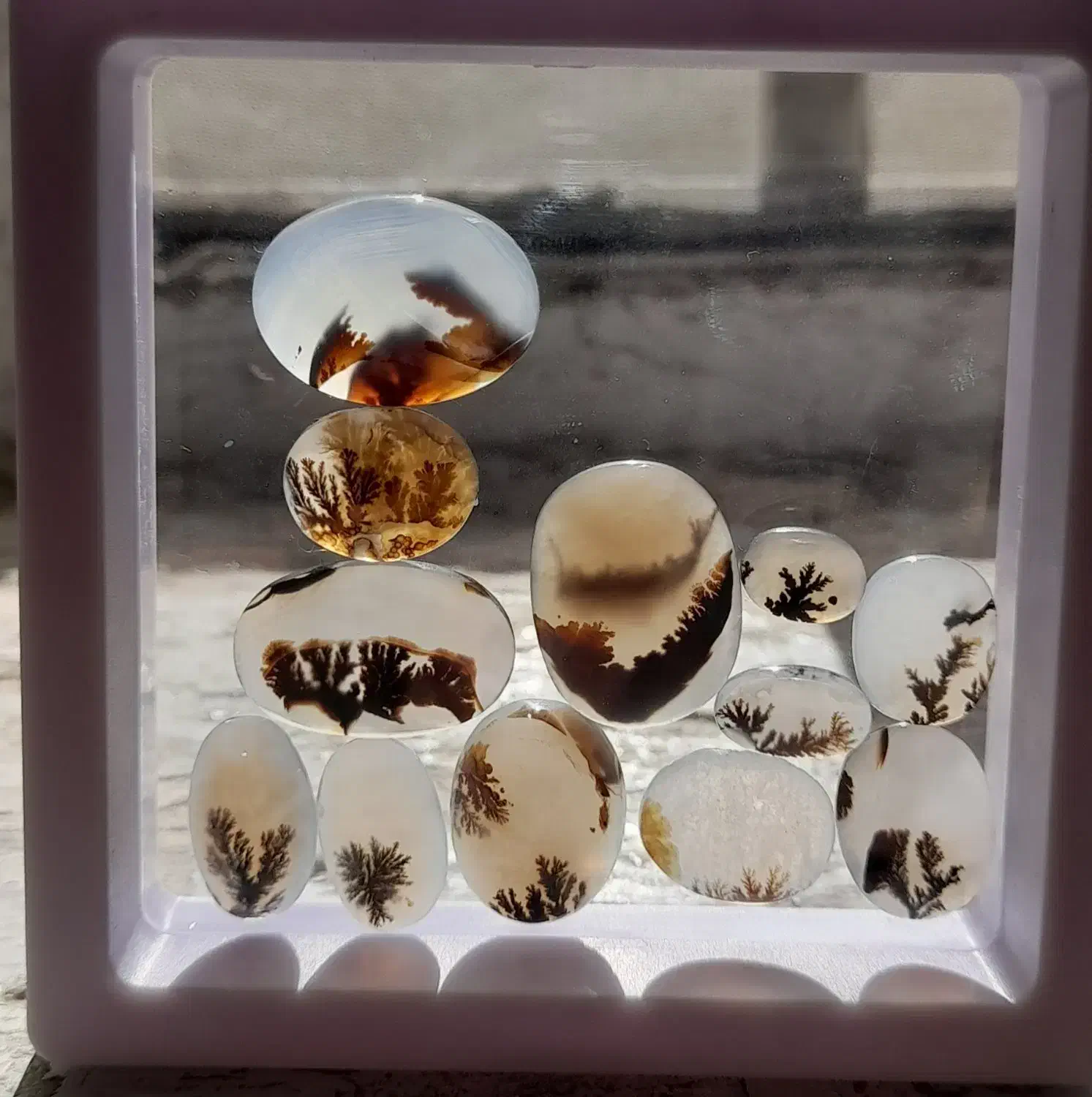 کلکسیون عتیقه سنگ شجر معاوضه با انگشتر شجر زبرجد|کلکسیون اشیاء عتیقه|زنجان, |دیوار