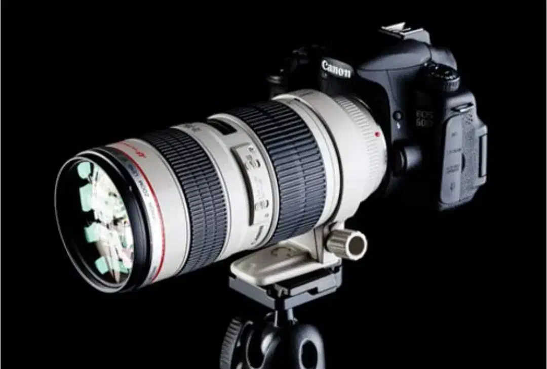 آموزش حرفهای صفر تا صد آتلیه عروس با استخدام|استخدام هنری و رسانه|مشهد, دانشجو|دیوار