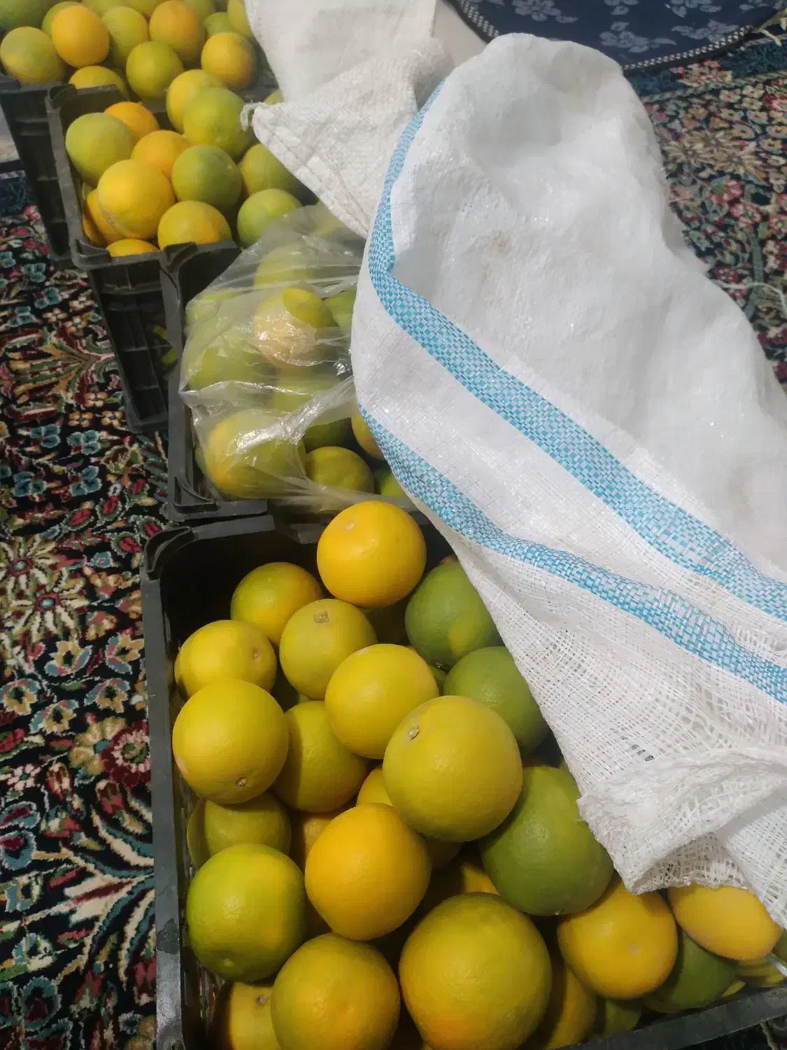 پرتقال‌درجه‌۱|خوردنی و آشامیدنی|عنبرآباد, |دیوار