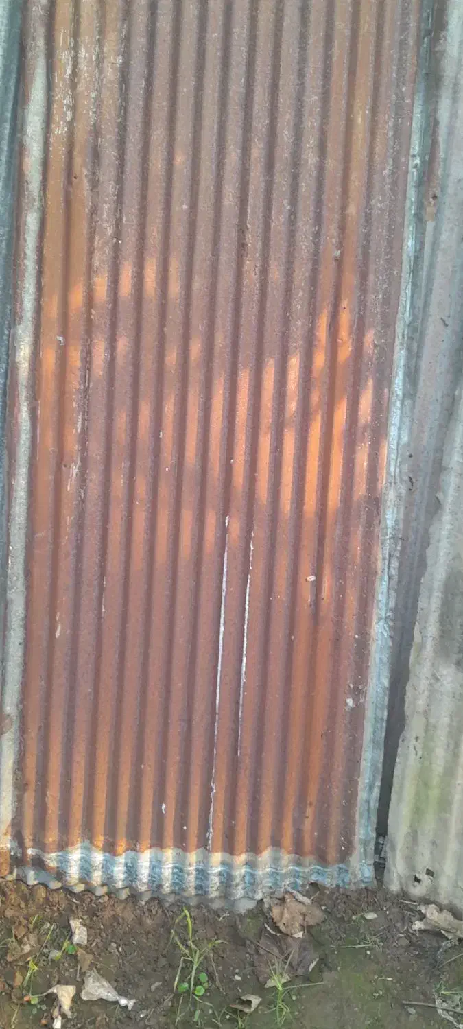 حلب|مصالح و تجهیزات ساختمان|لنگرود, |دیوار