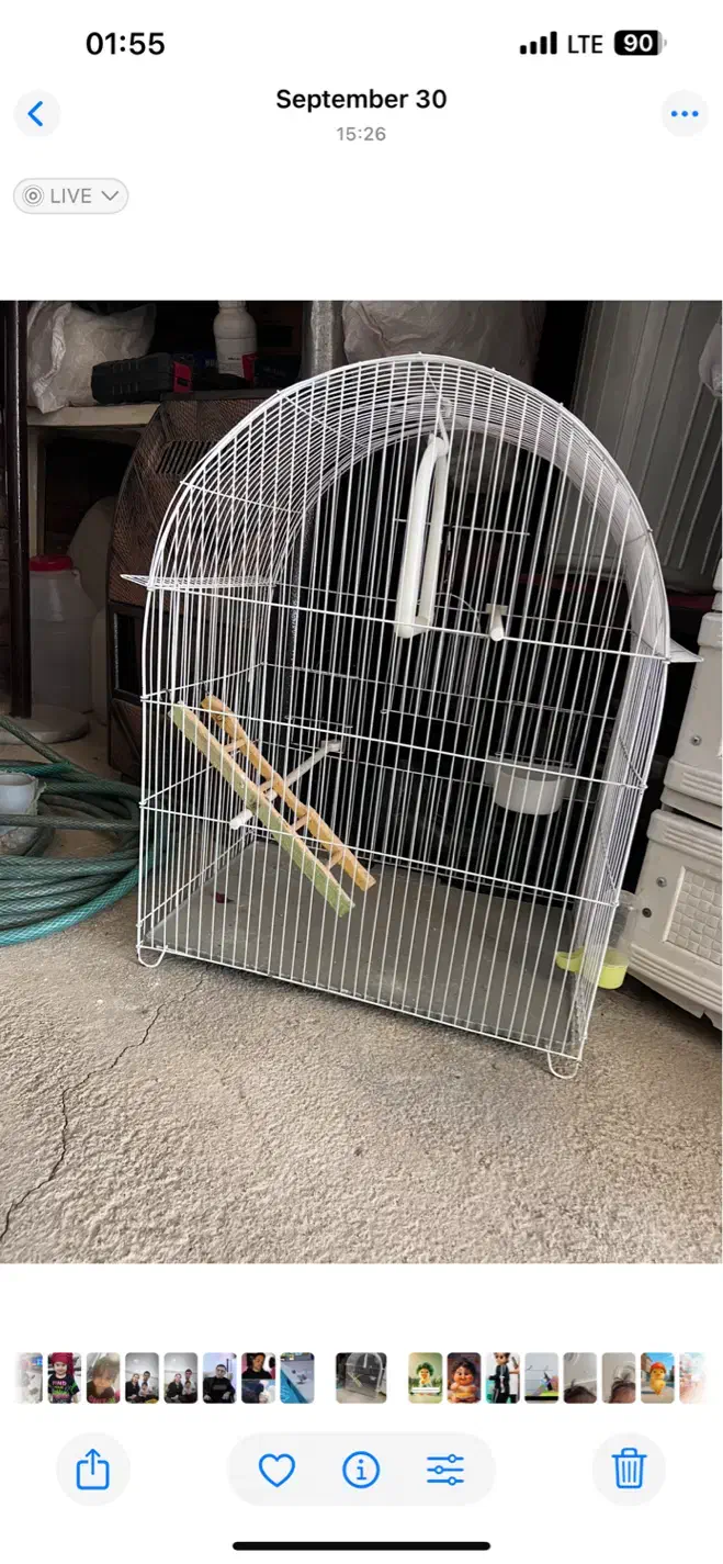 قفس عروس هلندی|لوازم جانبی حیوانات|بانه, |دیوار