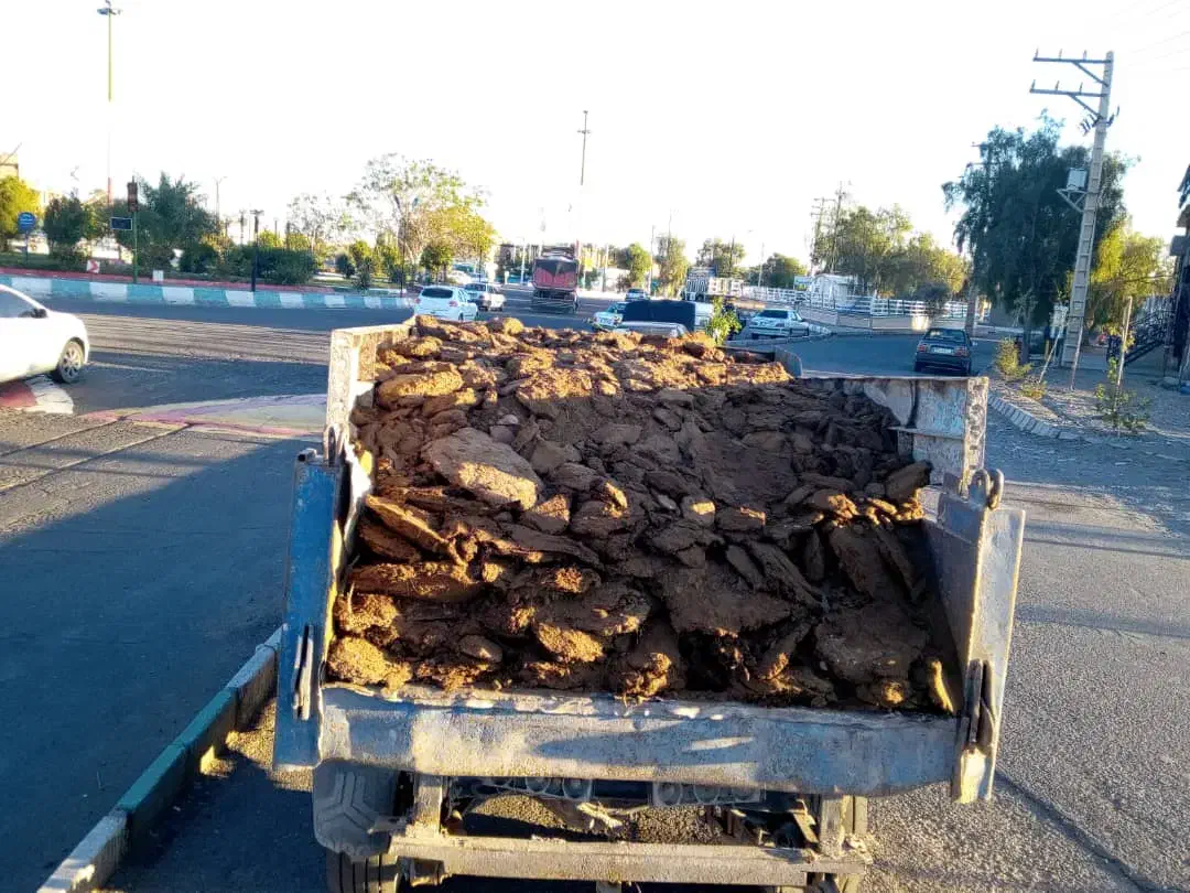 کود|خدمات باغبانی و درختکاری|بم, |دیوار