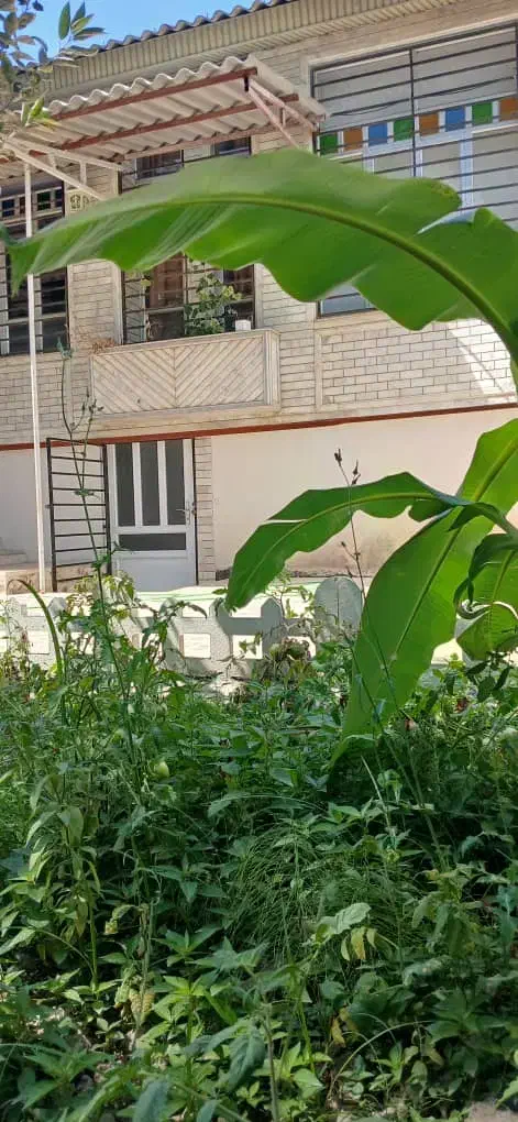 سوئیت دلبازطبقه پایین خانه ویلایی فقط یک خانم مسن|اجارهٔ خانه و ویلا|محمودآباد, |دیوار