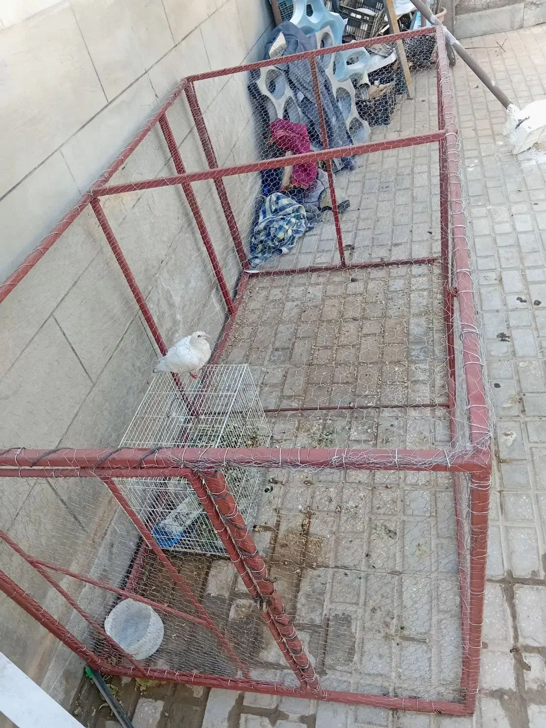 قفس فروشی|لوازم جانبی حیوانات|فردوس (خراسان), |دیوار