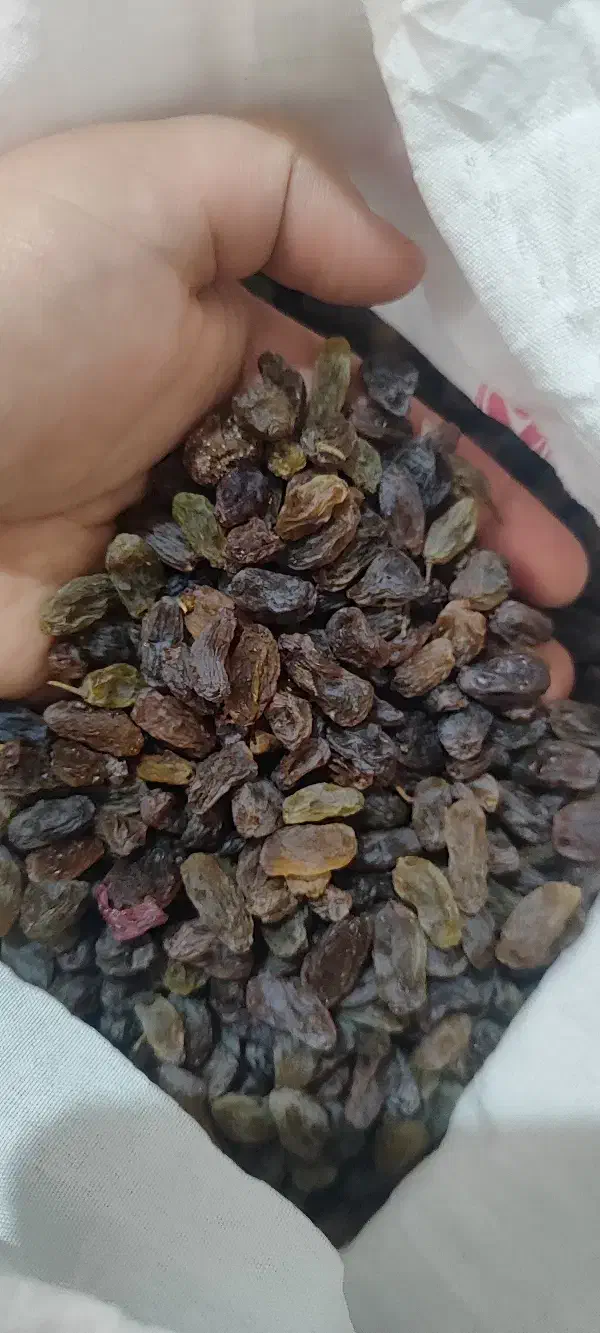 کشمش اعلا بیدانه|خوردنی و آشامیدنی|محمدیه-قزوین, |دیوار