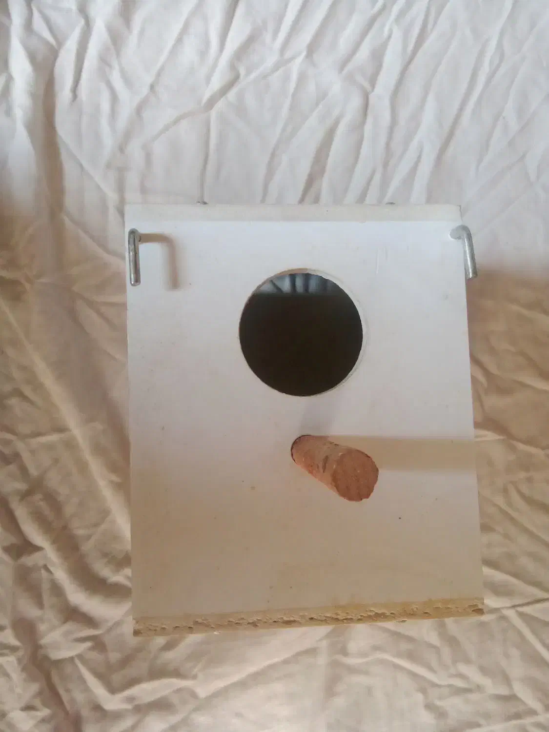 اغل فنچ|لوازم جانبی حیوانات|مشهد, امیریه|دیوار