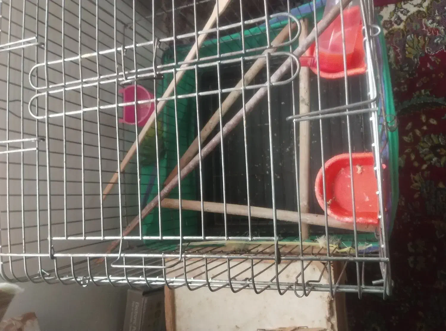 لوازم جانبی حیوانات|لوازم جانبی حیوانات|رانکوه, |دیوار