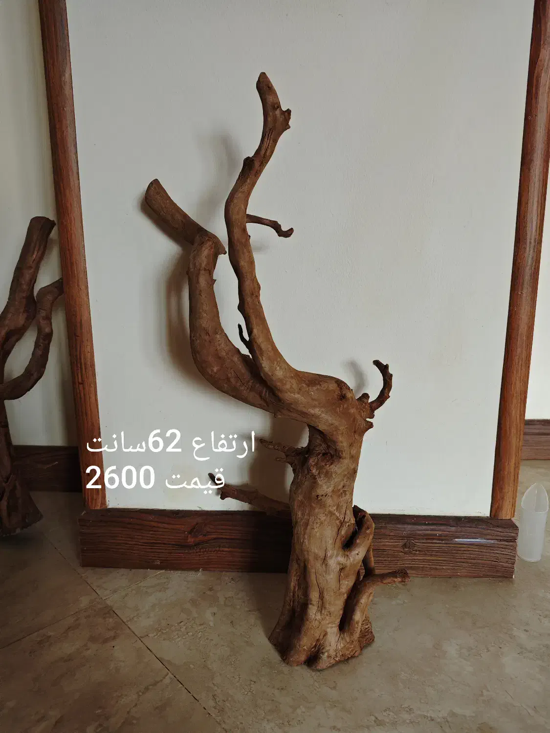 چوب آبنوس|ماهی|تهران, جنتآباد مرکزی|دیوار