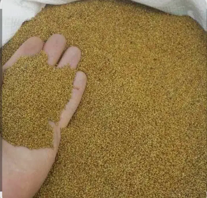 پایه بلندترین بذر اصلاح شده و پرتناژ|خدمات باغبانی و درختکاری|کازرون, |دیوار