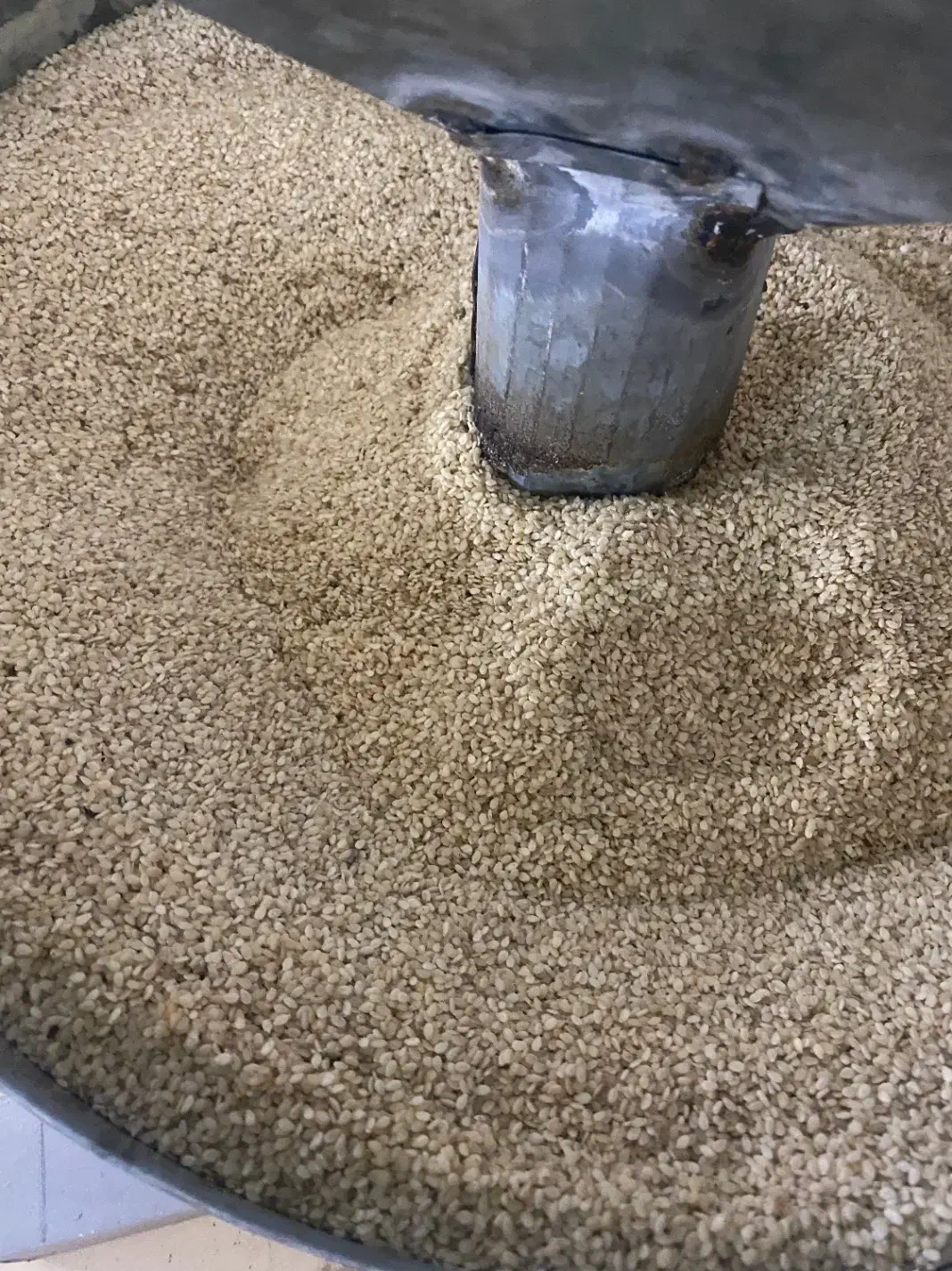 کنجد|عمدهفروشی|تکاب, |دیوار