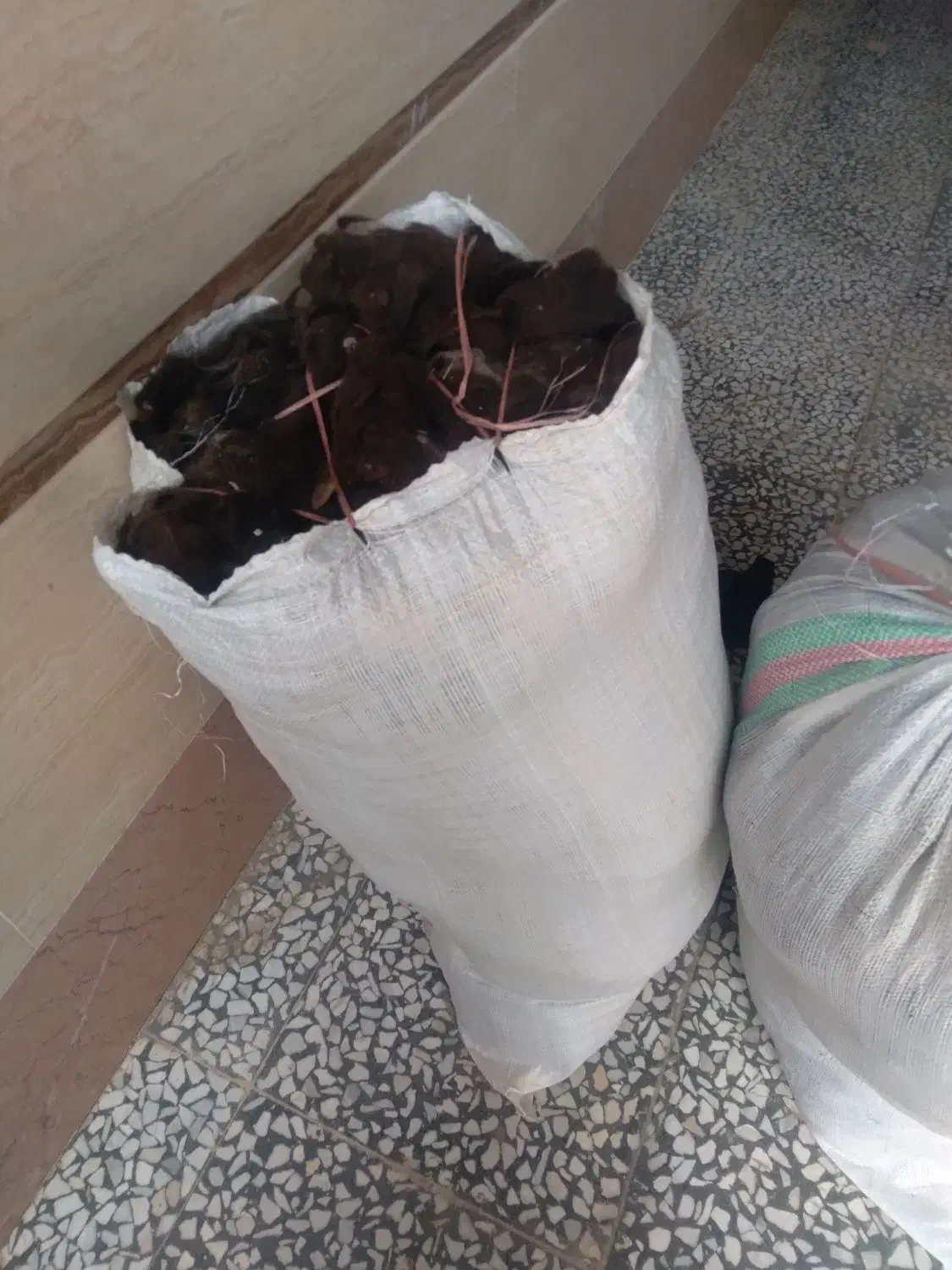 پشم گوسفند|پشتی|دامغان, |دیوار