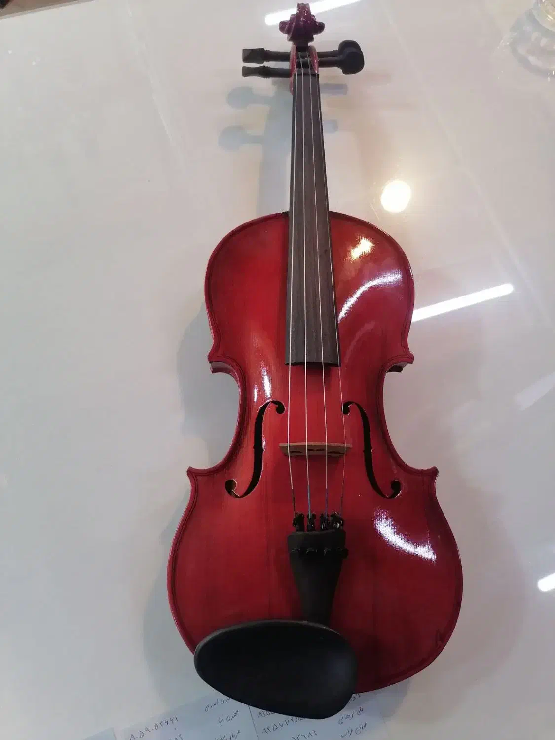 «ویولن آغاز راهِ حرفهای شما»|ویولن|مشهد, ولیعصر (شهرک غرب)|دیوار