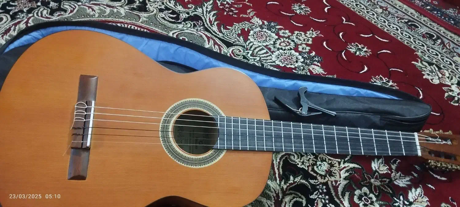 گیتار|گیتار، بیس، امپلیفایر|قم, دروازه ری|دیوار