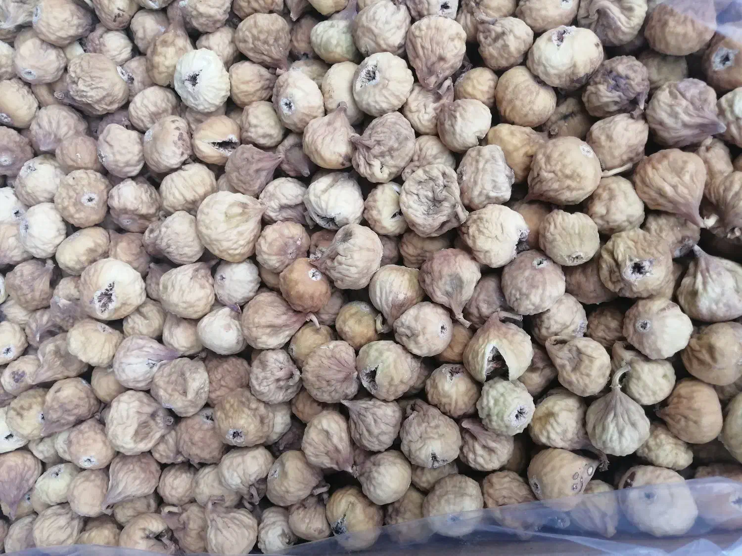 انجیر|خوردنی و آشامیدنی|شیراز, شهرک مدرس|دیوار
