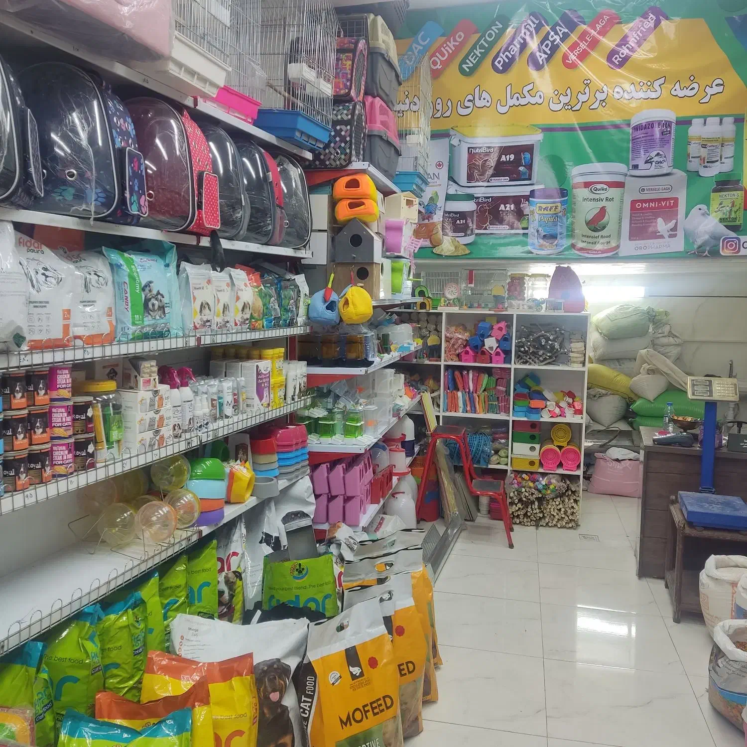 فروشگاه دنیای حیوانات خانگی|لوازم جانبی حیوانات|اصفهان, سروستان|دیوار