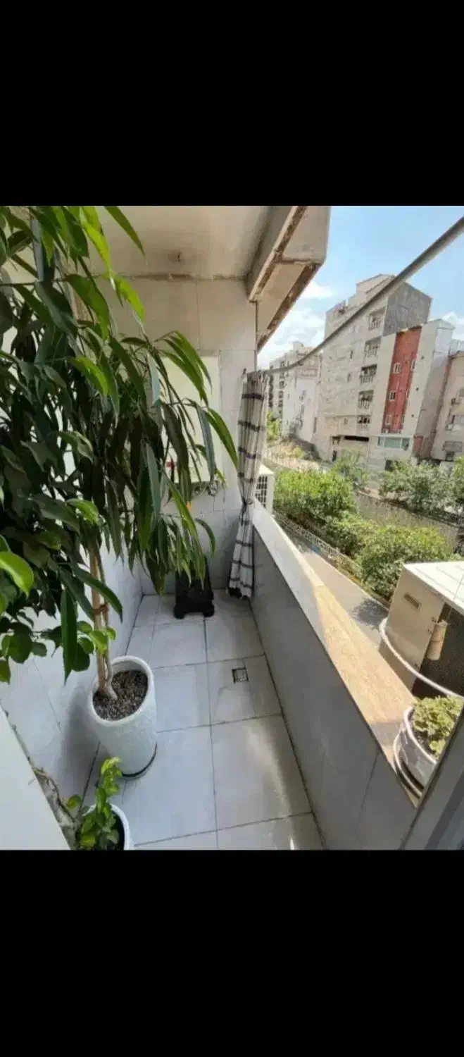 هم خونه|اجارهٔ آپارتمان|تهران, استاد معین|دیوار