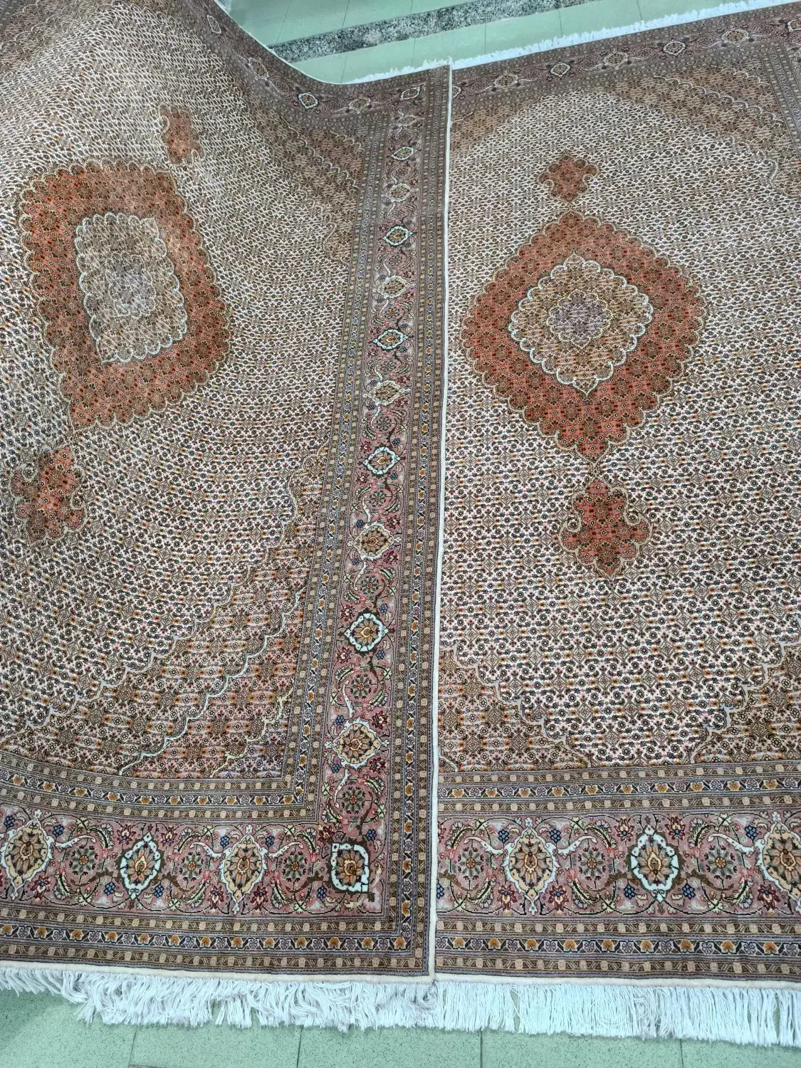 یک جفت ۶ متری ماهی رج ۵۰|فرش|تبریز, |دیوار