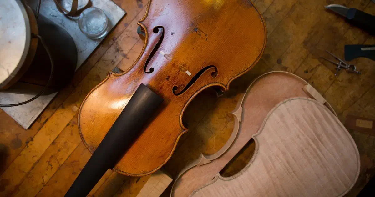 کارگاه ریگلاژ بازسازی تعمیر و فروش و تعویض ویولن|ویولن|تهران, استاد معین|دیوار