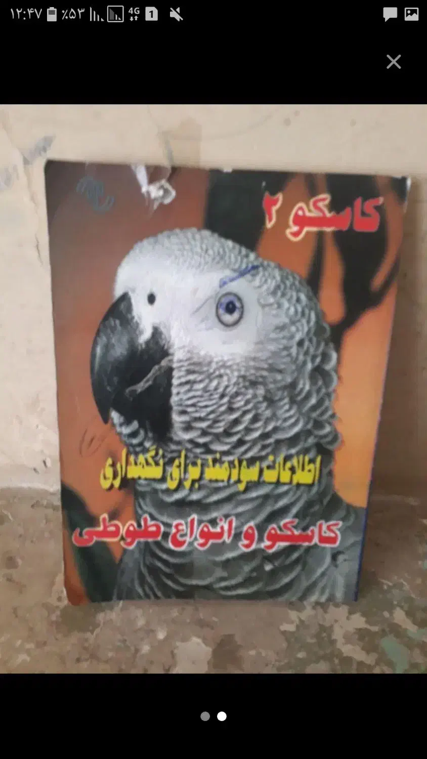 کتاب مذهبی و کتاب پرنده|کتاب و مجله مذهبی|کرمانشاه, |دیوار