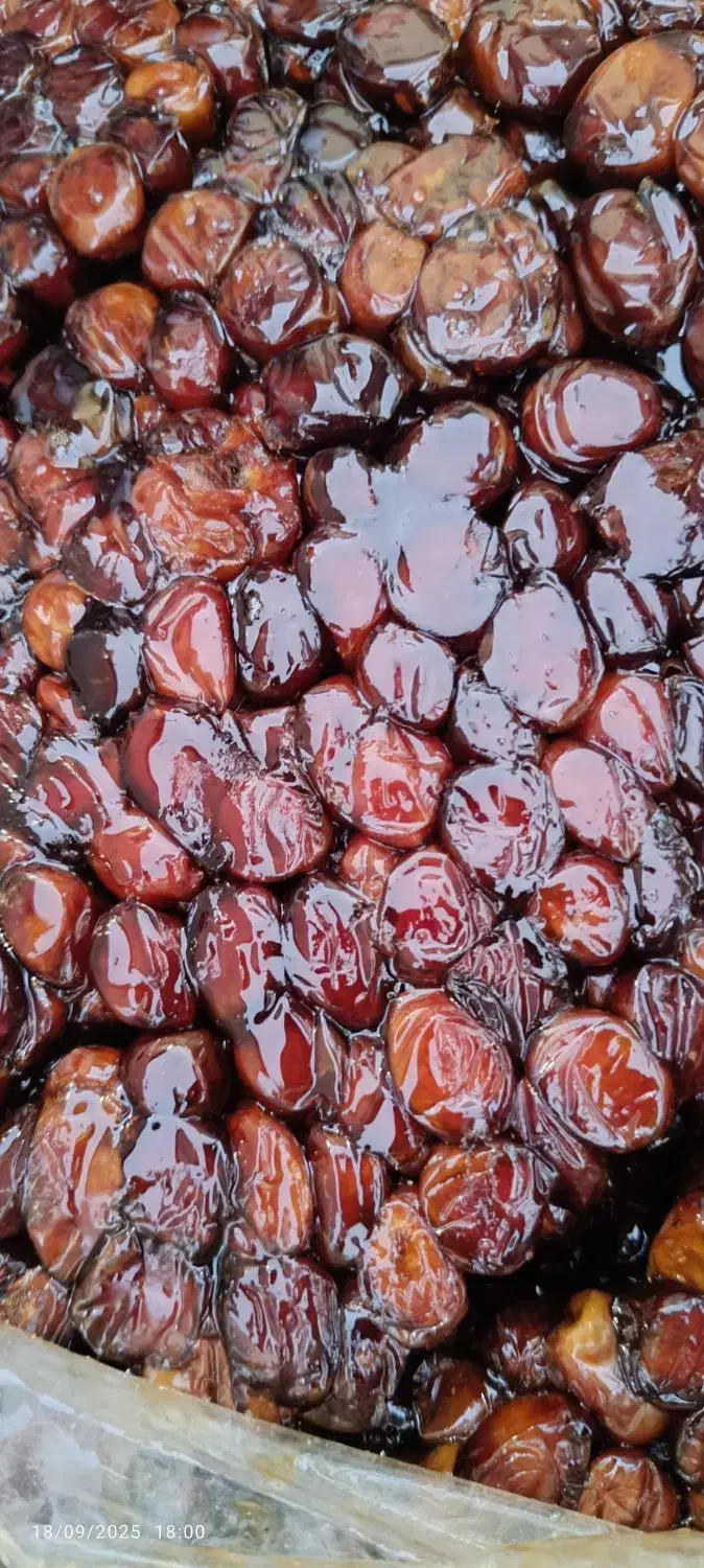 خرمای صادراتی جم و ریز|خوردنی و آشامیدنی|شاهین‌شهر, خانه کارگر|دیوار