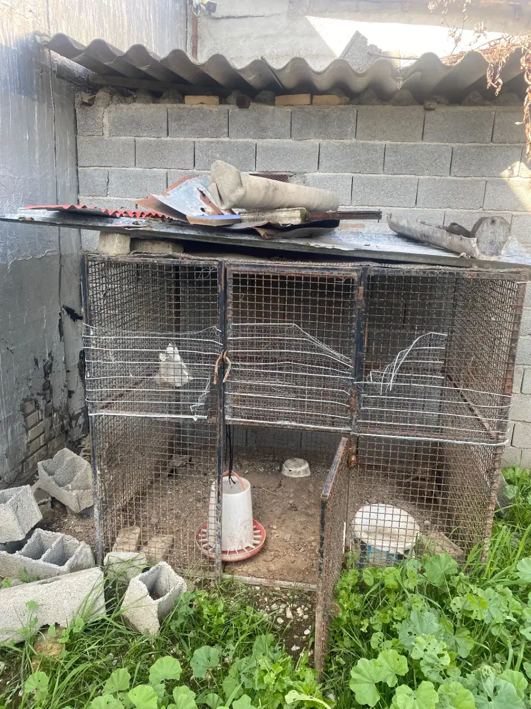 قفس آهنی مخصوص نگهداری حیوانات|لوازم جانبی حیوانات|قائم‌شهر, |دیوار