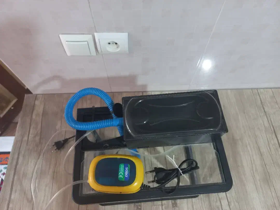 اکواریوم شیشه خم|ماهی|کرج, حصار|دیوار